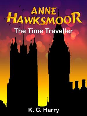 Cover of the book Anne Hawksmoor: The Time Traveller by AnnMarie Stone