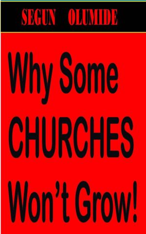 Cover of the book Why Some Churches Won't Grow! by SEGUN OLUMIDE, Tosin Olumide