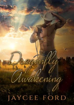 Book cover of Dragonfly Awakening