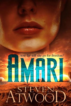 Cover of the book Amari by RR Morris
