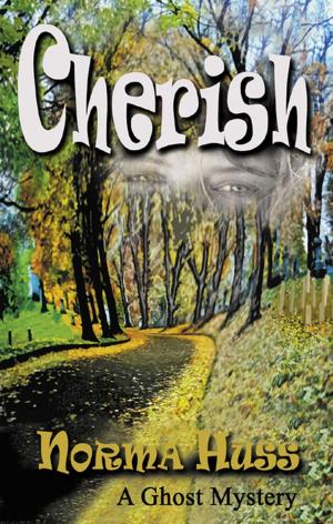 Cover of the book Cherish by Vivian Zabel