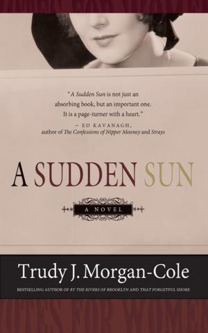 Cover of the book A Sudden Sun by Helen Ellis