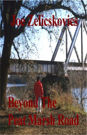 Cover of the book Beyond The Peat Marsh Road by Dr. Verdun Trione
