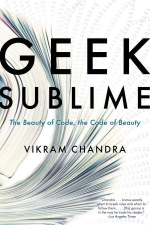 Cover of the book Geek Sublime by Mary Jo Bang