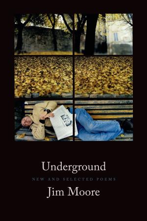 Cover of the book Underground by Dana Gioia