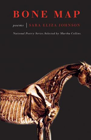 Book cover of Bone Map