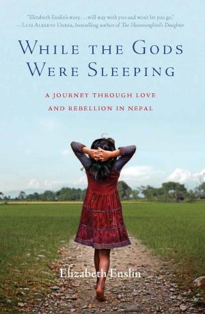 Cover of the book While the Gods Were Sleeping by Ross Gelbspan