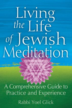 Cover of the book Living the Life of Jewish Meditation by Rabbi Dayle A. Friedman