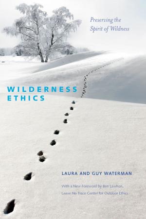 bigCover of the book Wilderness Ethics: Preserving the Spirit of Wildness by 