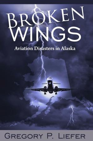 Cover of the book Broken Wings by J.A. Stowell