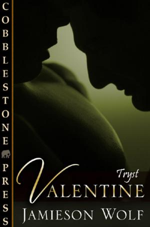 Cover of the book Valentine by Andrew Richardson