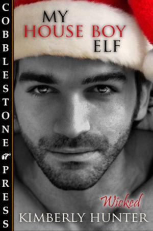 Cover of the book My House Boy Elf by Flora Dain