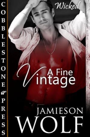 Cover of the book A Fine Vintage by Jamieson Wolf