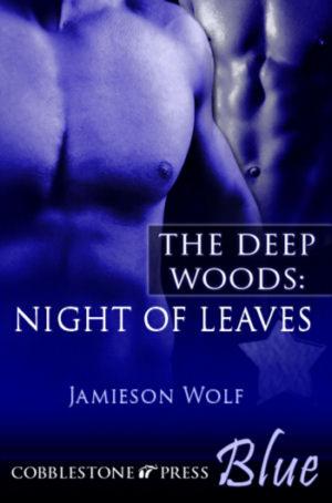 Cover of the book Night of Leaves by Jamieson Wolf