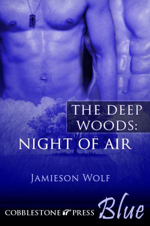 Cover of the book Night of Air by Jamieson Wolf