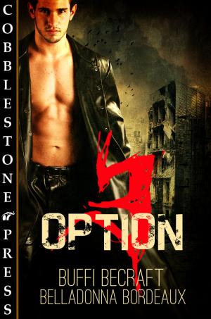 Cover of the book Option 3 by Rebecca Goings