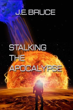 Cover of the book Stalking the Apocalypse by Rob Preece