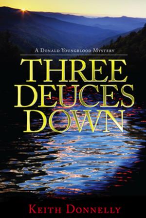 Cover of the book Three Deuces Down by Ted M Dunagan
