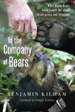 Cover of the book In the Company of Bears by David Grant