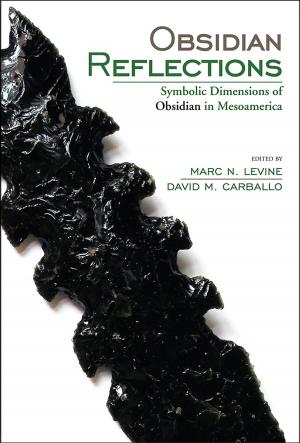Cover of the book Obsidian Reflections by Jerry D. Moore