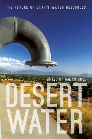 bigCover of the book Desert Water by 