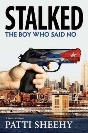 Book cover of Stalked: The Boy Who Said No