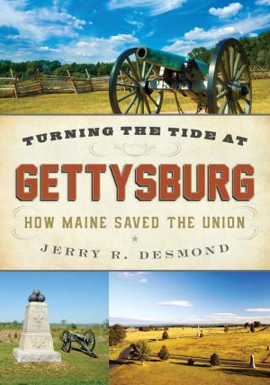 Cover of the book Turning the Tide at Gettysburg by Silvio Calabi, Steve Helsley, Roger Sanger