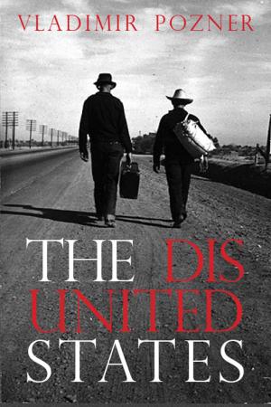 bigCover of the book The Disunited States by 