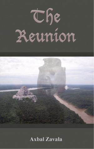 bigCover of the book The Reunion by 