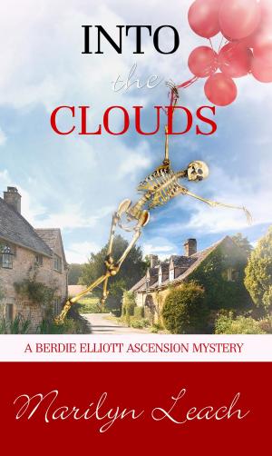 Cover of the book Into the Clouds by Kimberly B. Jackson