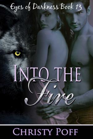 Cover of the book Into the Fire by Christy Poff