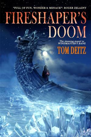 Cover of the book Fireshaper's Doom by Jim Newell