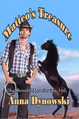 Cover of the book Matteo's Treasure: Moretti Men Series, Vol. 3 by PJ Fiala
