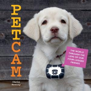 Cover of the book Petcam by Sue Ferguson Gussow