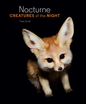 bigCover of the book Nocturne by 
