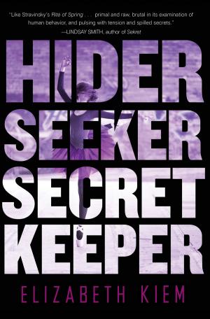 Cover of the book Hider, Seeker, Secret Keeper by CW Johnson