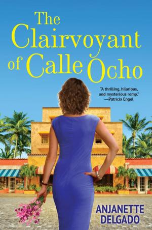Cover of the book The Clairvoyant of Calle Ocho by Nan Rossiter