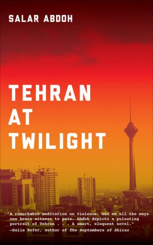 Cover of the book Tehran at Twilight by Elizabeth Nunez