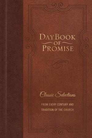 Cover of the book Daybook of Promise by Kristi Burchfiel