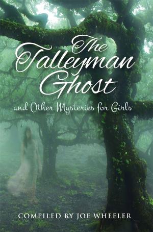 Cover of the book The Talleyman Ghost and Other Mysteries for Girls by C.J. Walkin, Carol Grayson