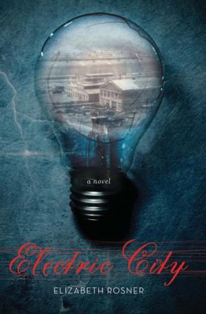 Cover of the book Electric City by John McIntyre
