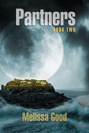 Cover of the book Partners: Book Two by Rae Theodore