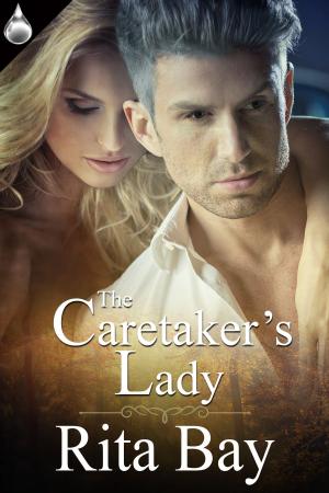 Cover of the book The Caretaker's Lady by Arlo Mercia