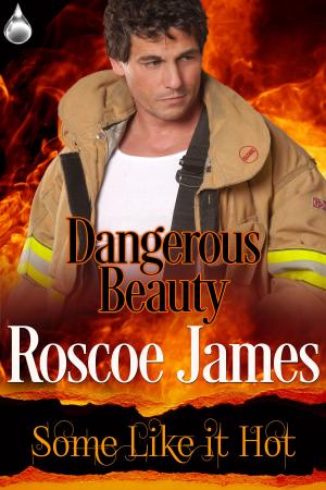 Cover of the book Dangerous Beauty by Darragha Foster