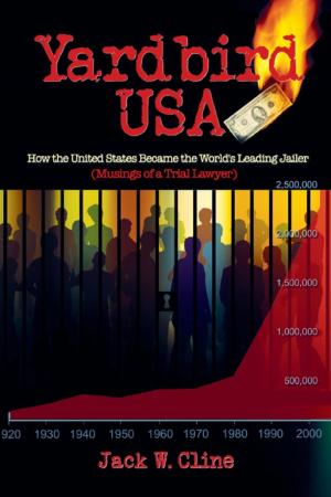 Cover of the book Yardbird USA by Kerri J. Busteed