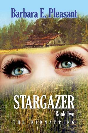 Cover of the book Stargazer by Stephen  Lamoreaux