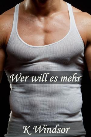 Cover of the book Wer will es mehr? by Andre Xavier