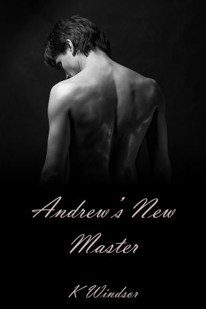 Cover of the book Andrew's New Master by Becca Baynes