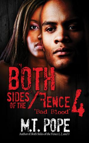 Cover of the book Both Sides of the Fence 4 by Patricia Haley, Gracie Hill