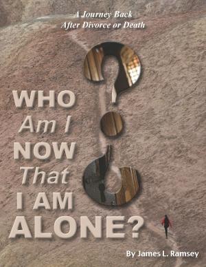 Cover of Who Am I Now That I Am Alone? A Journey Back after Divorce or Death